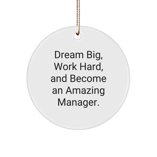 Funny 'Dream Big' Inspirational Manager Gifts from Friends Unique Christmas Circle Ornament for Office Decor - Image 1