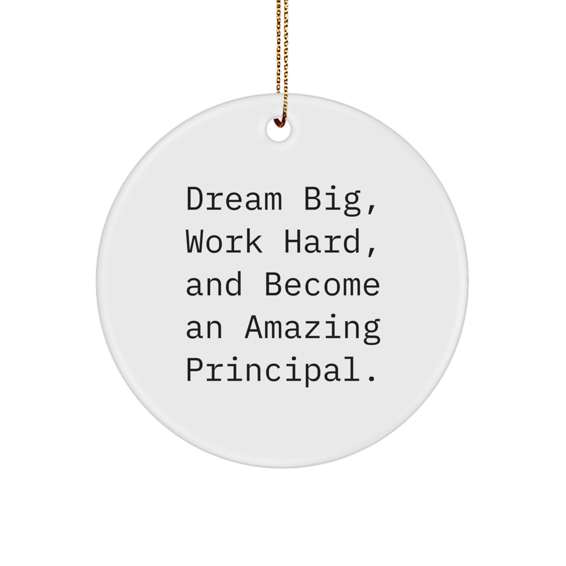 Inspirational Principal Circle Ornament Gifts from Family - Dream Big - Unique Christmas Memorable Presents for Principal - Image 1