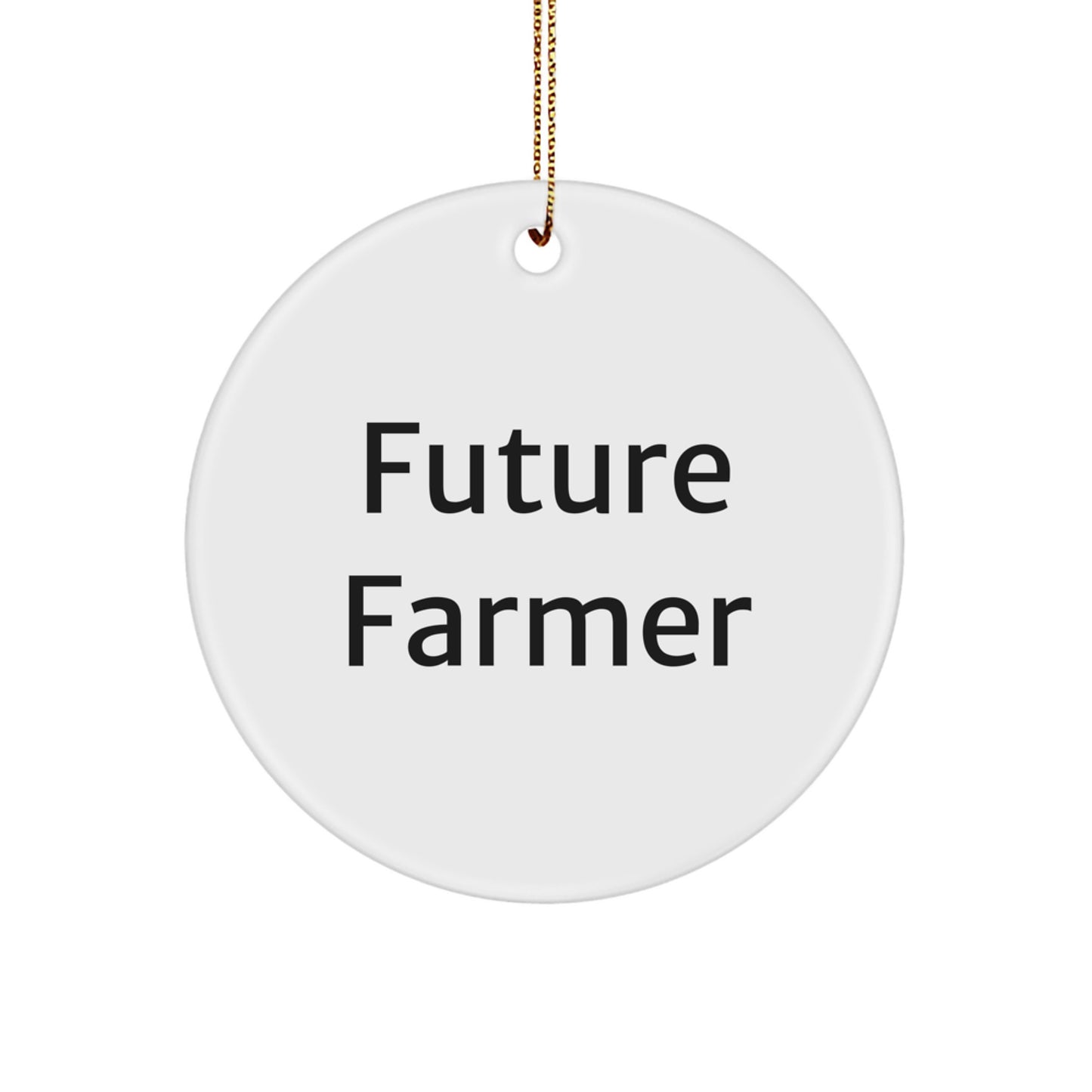 Funny Future Farmer Gifts for Men from Family, Unique Circle Ornament for Farmer Christmas Unique Gifts - Image 1
