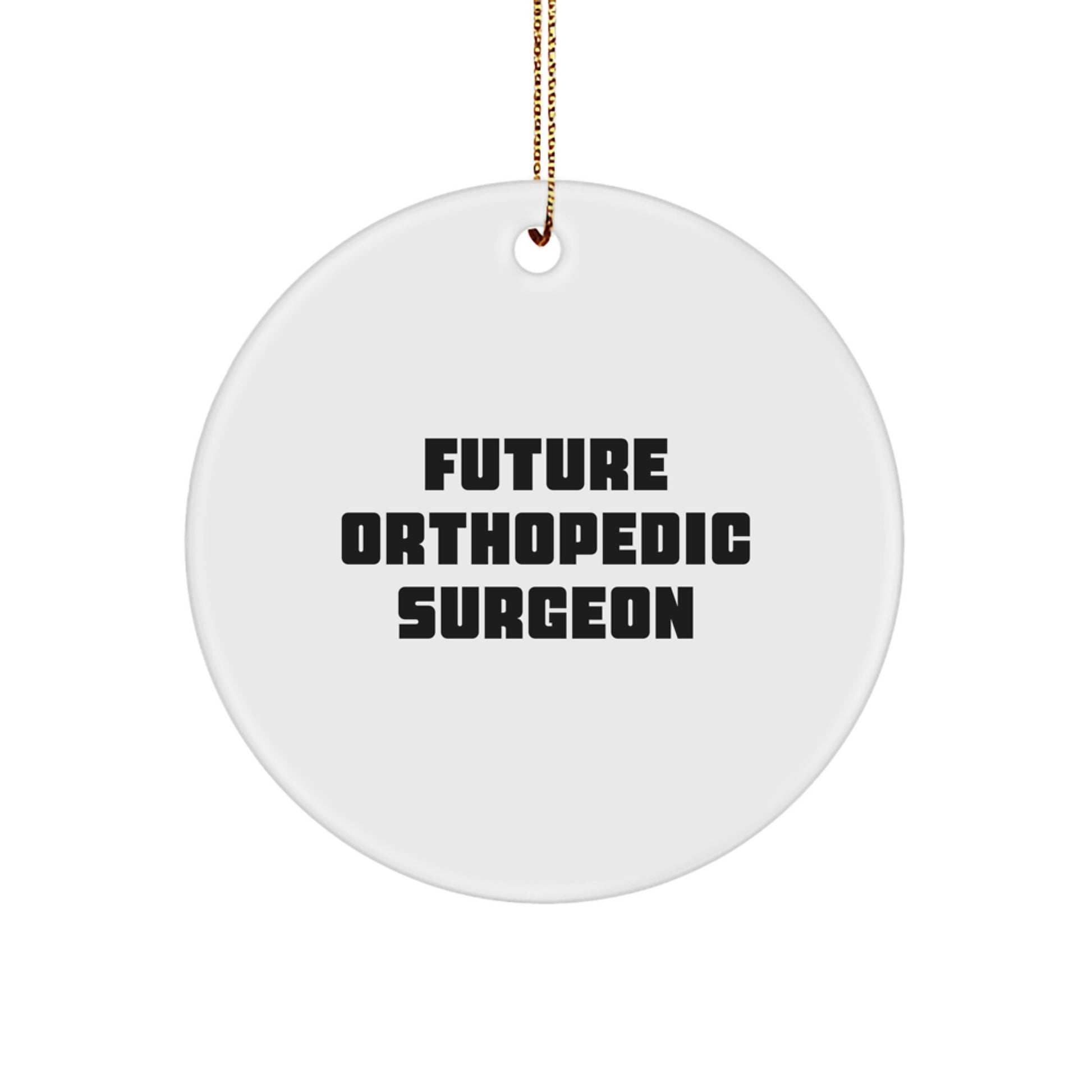 Funny Future Orthopedic Surgeon Gifts for Men, Women, Friends, and Family - Christmas Unique Circle Ornament with Inspirational Quote - Gifts from Men, Women, Friends, and Family - Image 1