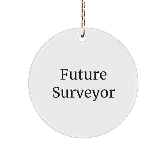 Funny Future Surveyor Circle Ornament Gifts from Friends for Christmas - Image 1