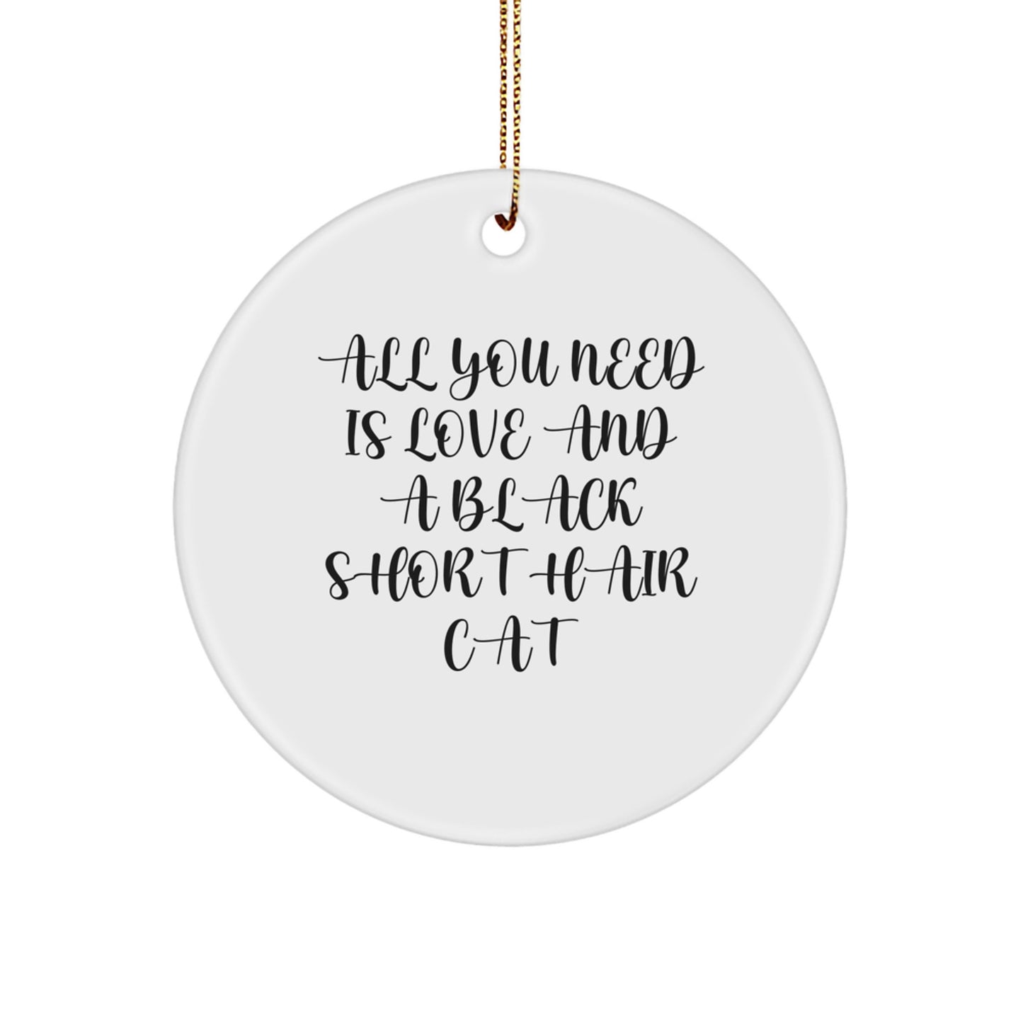 Funny Black Short Hair Cat Circle Ornament Gifts from Men to Black Short Hair Cat Lovers, Christmas Unique Gifts for Family Friends - Image 1