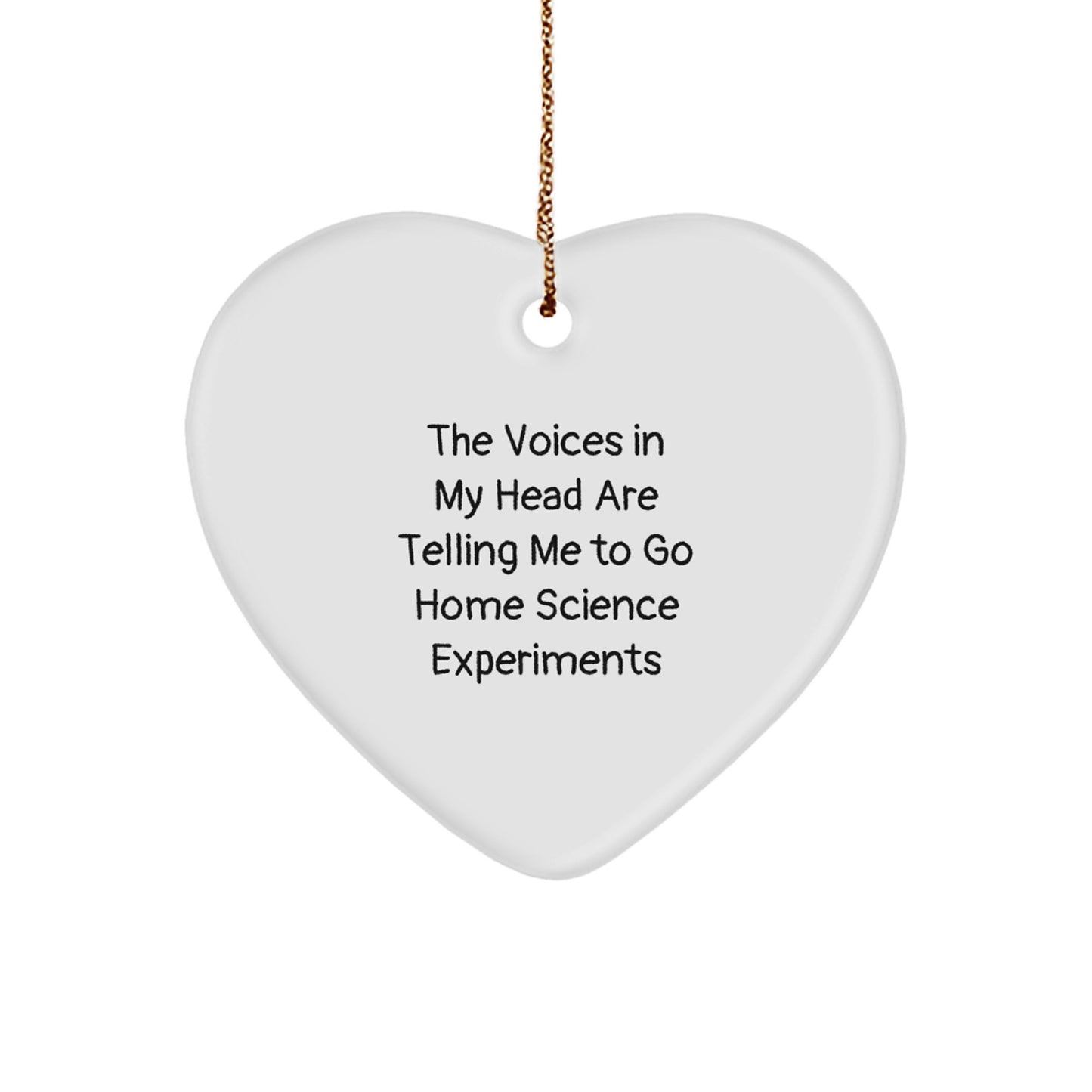 Funny Home Science Experiments Heart Ornament Gifts from Friends for Family Christmas Unique Decorations, The Voices In My Head Are Telling Me To Go Home Science Experiments - Image 1