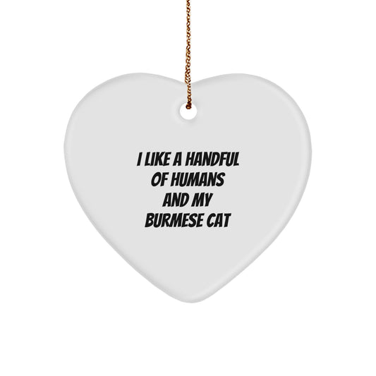 Funny Burmese Cat Gifts from Men Women Friends Coworkers Family for Christmas Unique Ornament - I Like A Handful Of Humans And My Burmese Cat, - Image 1