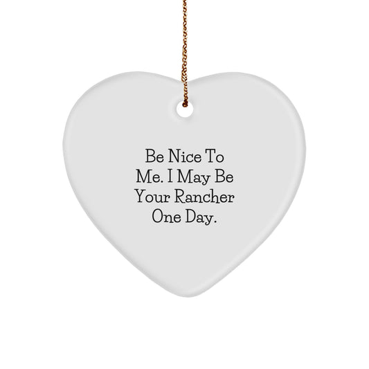 Funny Rancher Gifts from Friends, Heart Ornament Be Nice To Me, Christmas Unique Rancher Decor - Image 1
