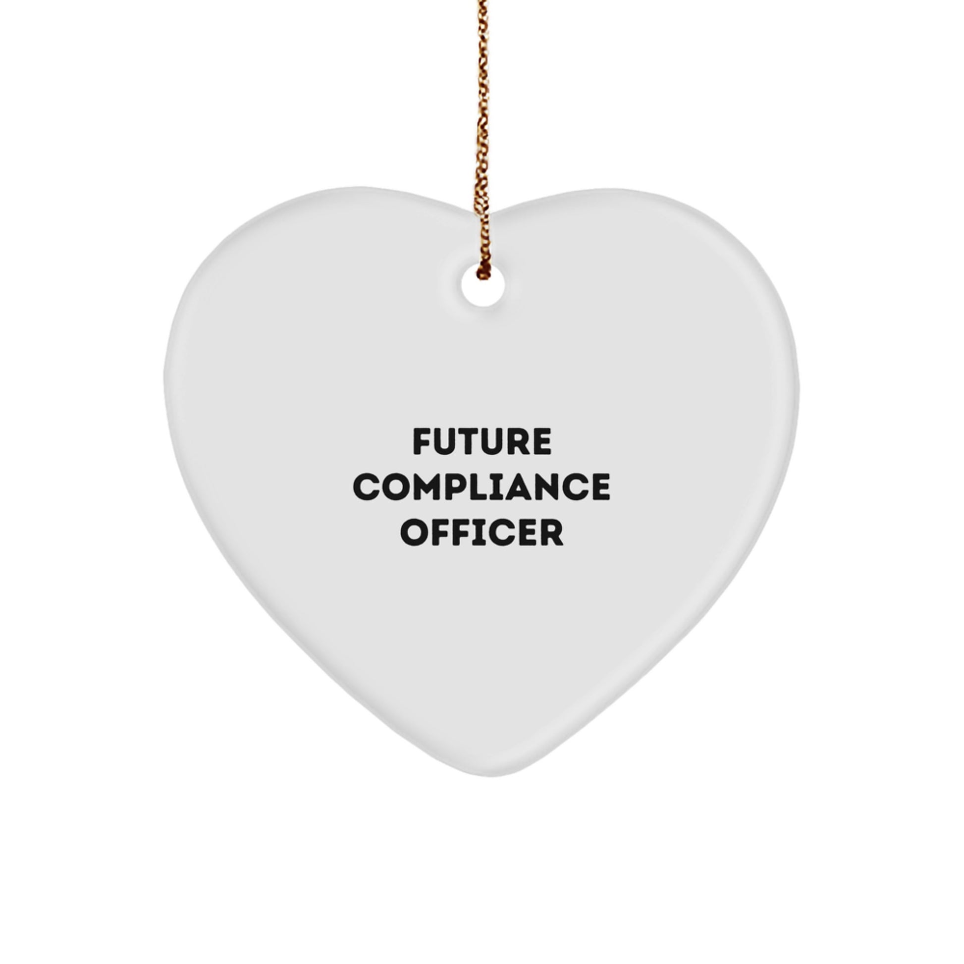 Funny Heart Ornament for Future Compliance Officer Gifts from Friends, Coworkers, or Family - Christmas Unique Gifts for Men, Women, or Anyone - Image 1