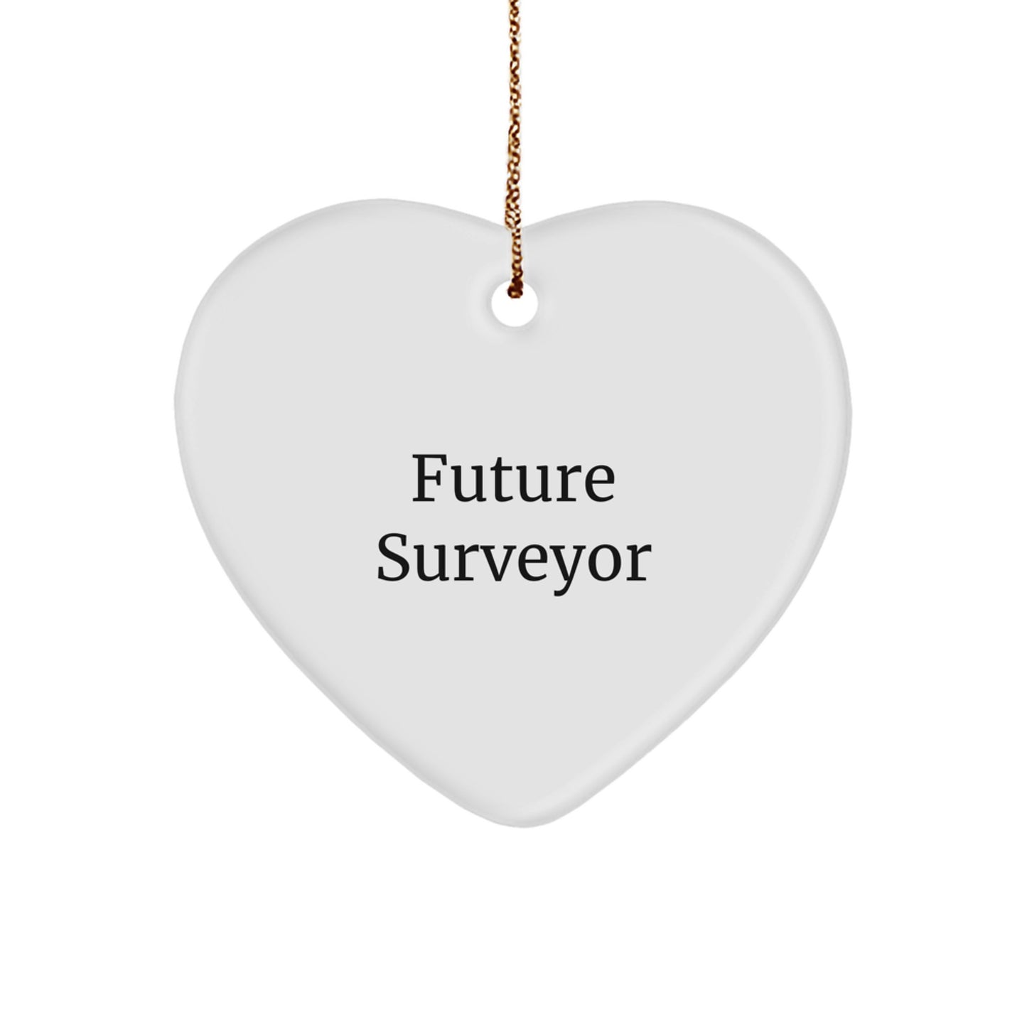 Future Surveyor Heart Ornament, Funny Quote Gifts from Friends, Gifts for Surveyor Men, Unique Christmas Ornaments - Image 1