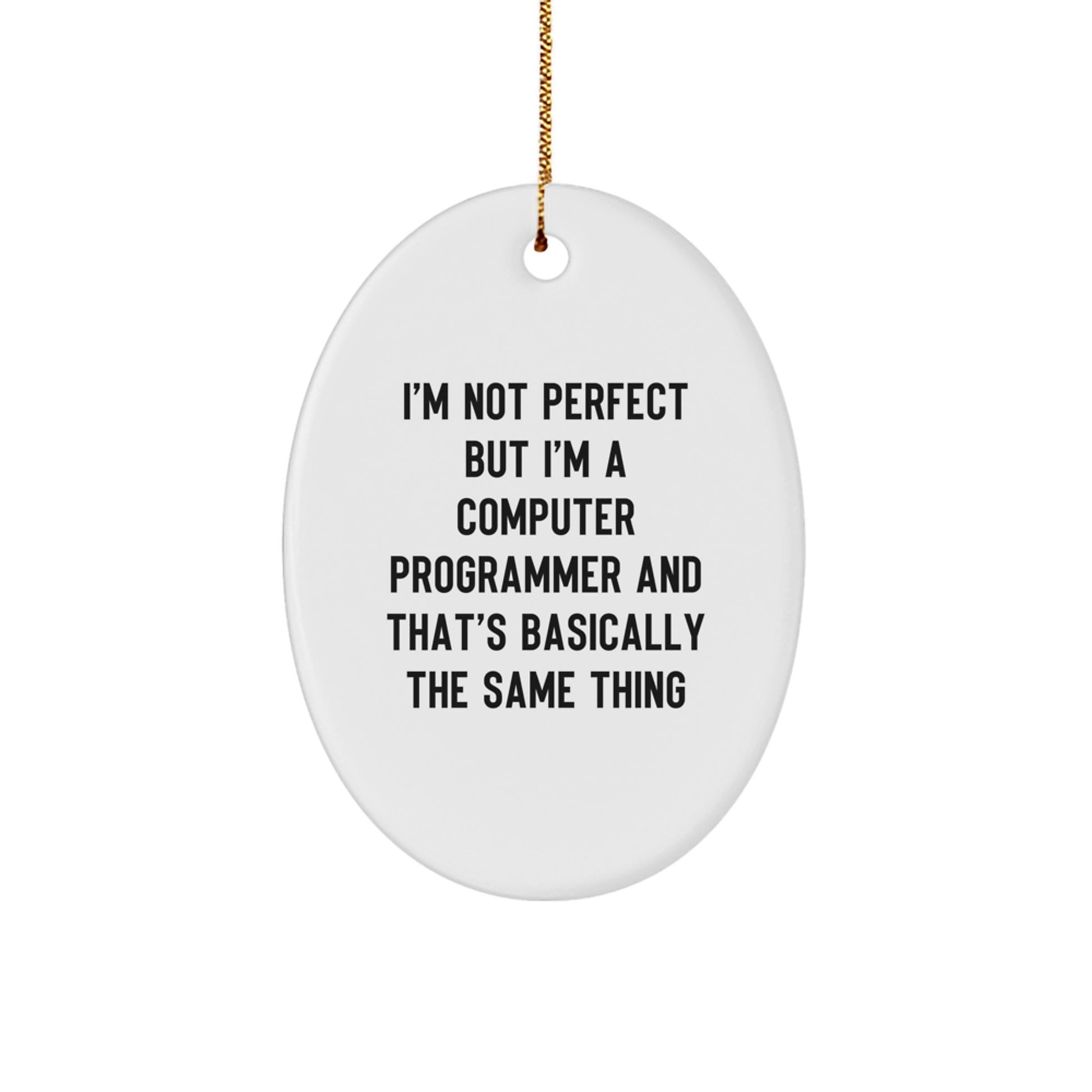 Funny Computer Programmer Gifts from Friends for Men - I'm Not Perfect Oval Ornament, White, 3.25" tall, Christmas Unique presents for Family - Image 1