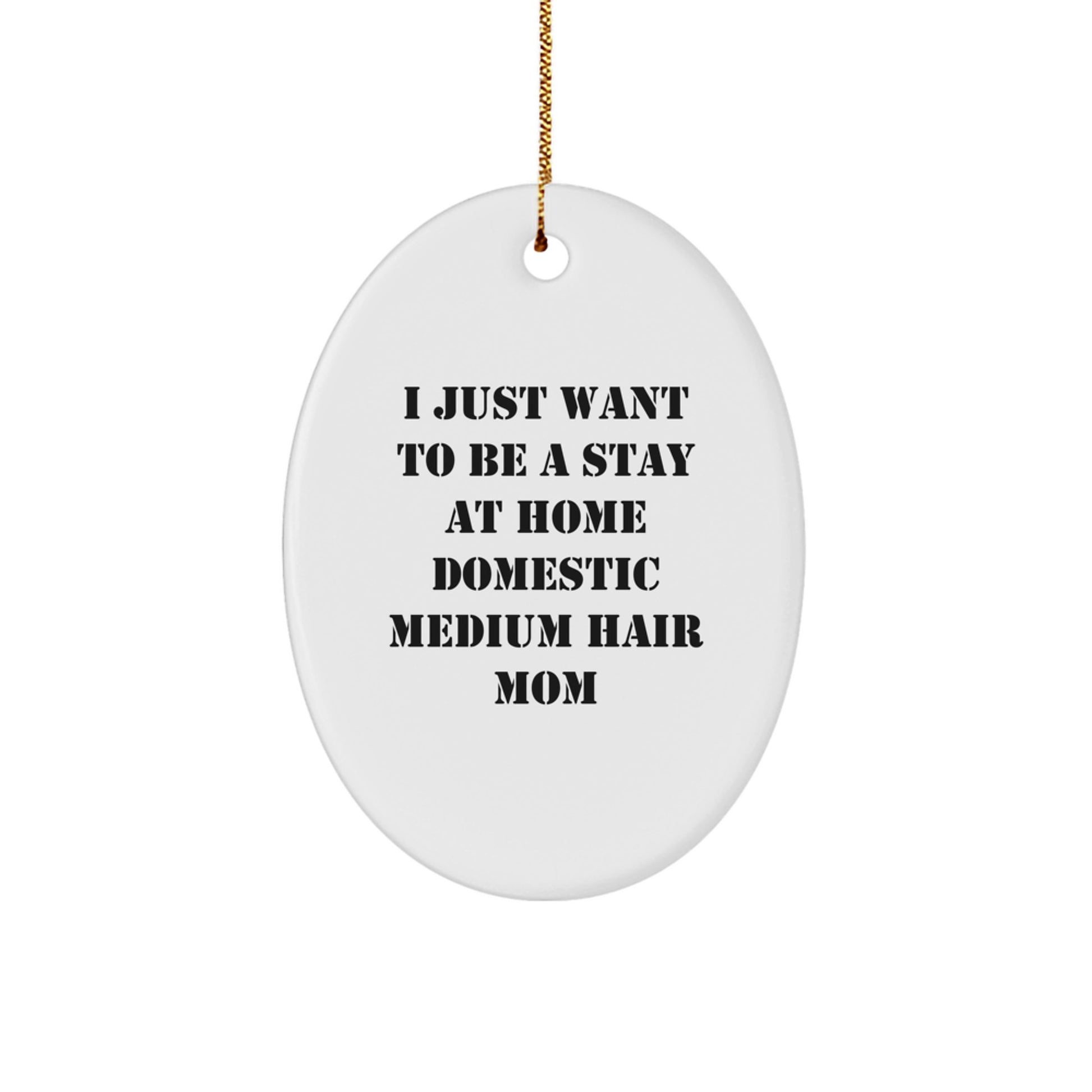 Funny Domestic Medium Hair Cat Gifts from Mom, Oval Ornament for Pet Lovers, I Just Want To Be A Stay At Home Domestic Medium Hair Mom, Christmas Unique Gifts for Friends, Family, and Coworkers - Image 1