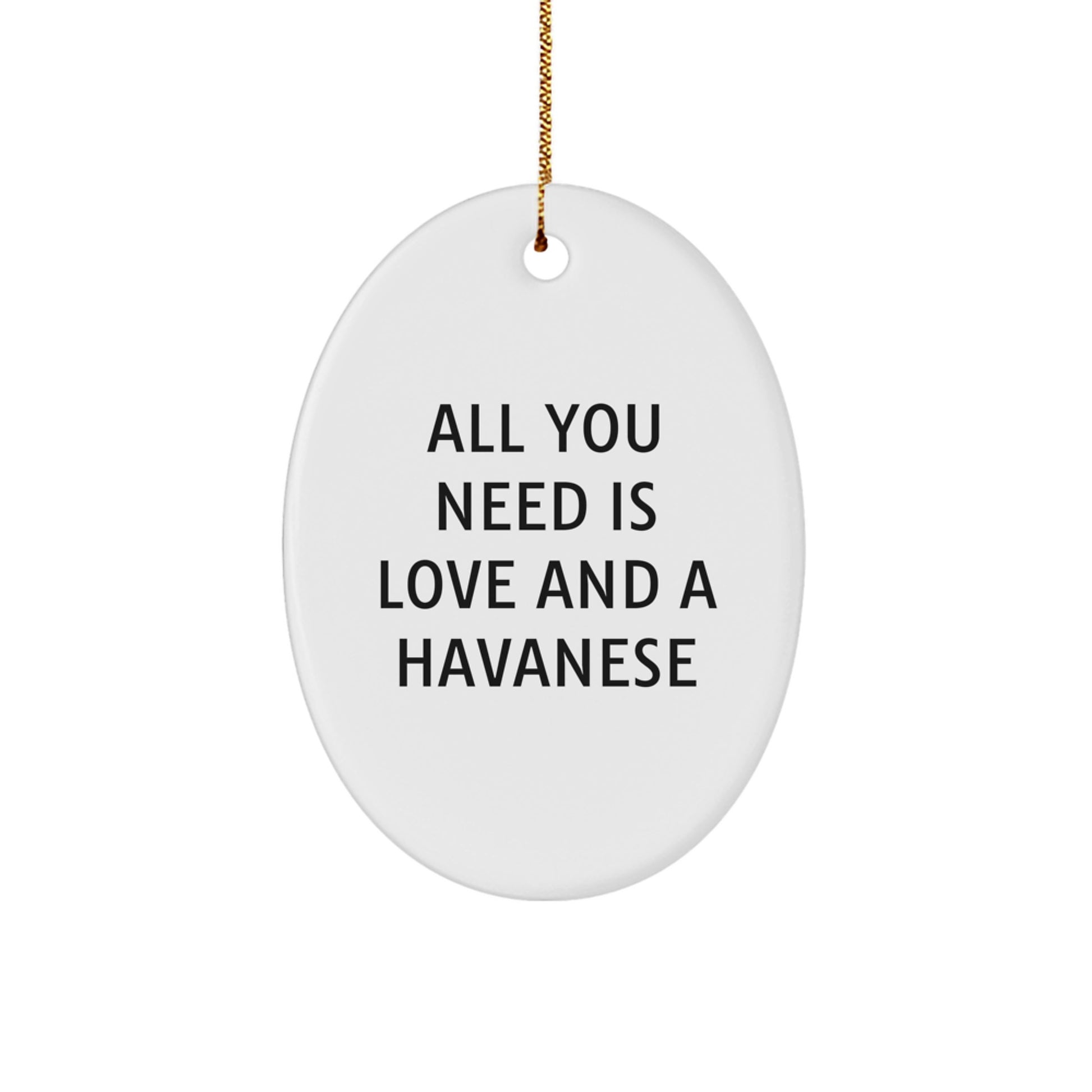 Havanese Dog Lovers' Gift, All You Need Is Love, Oval Ornament for Christmas, Gifts from Family to Friends - Image 1