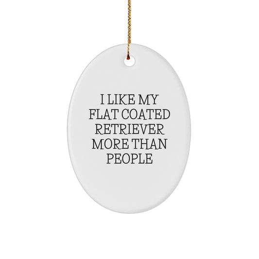 Funny Flat Coated Retriever Dog Gifts from Family - I Like My Flat Coated Retriever More Than People Oval Ornament for Christmas - Image 1