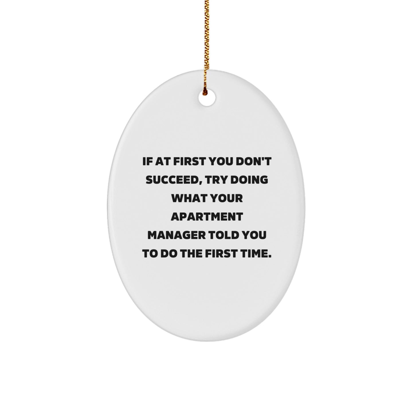 Funny Apartment Manager Gifts, Oval Ornament, If At First You Don't Succeed, Gifts from Family for Apartment Manager - Image 1
