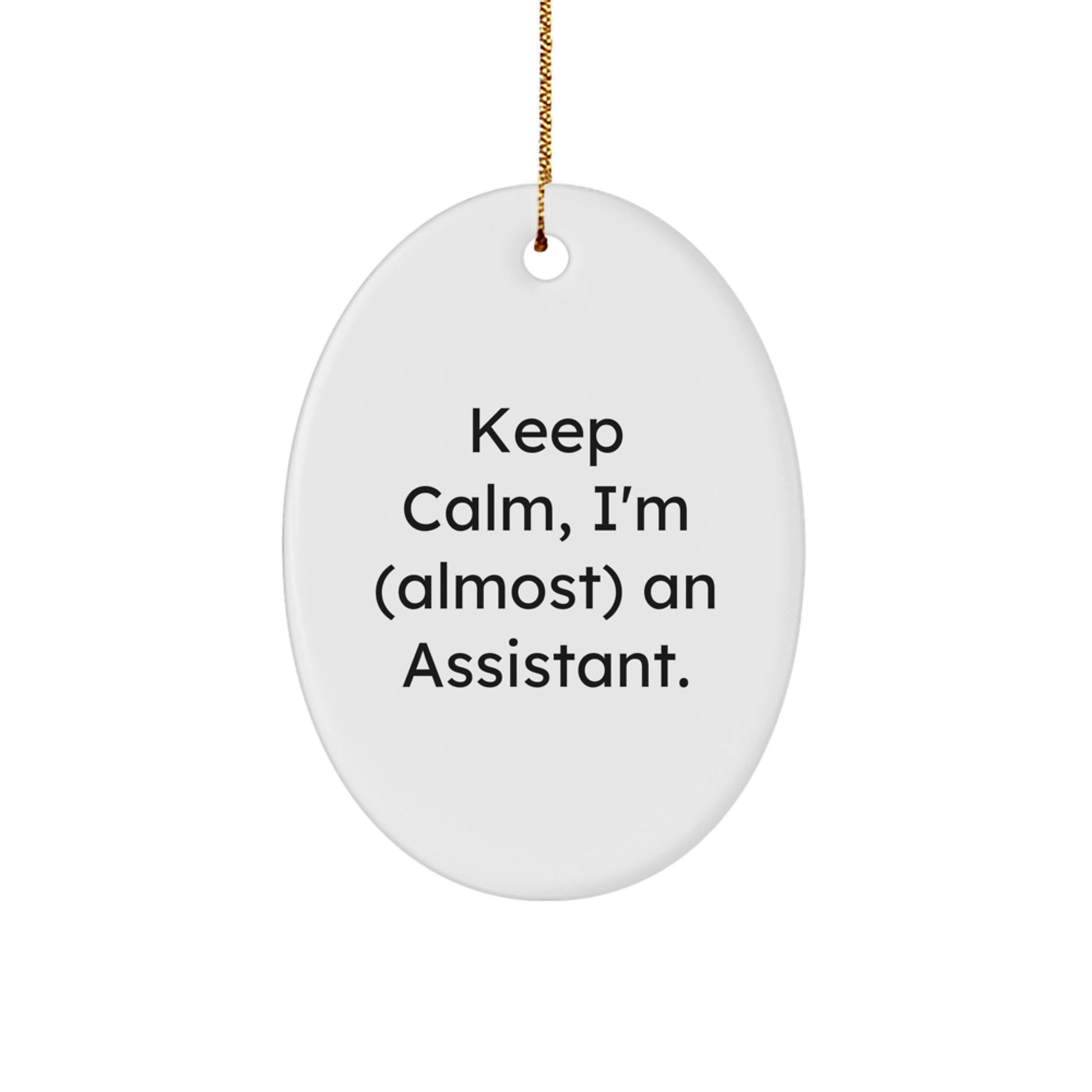 Funny Assistant Oval Ornament Gifts from Men to Women Coworkers Family for Christmas Unique Presents - Image 1