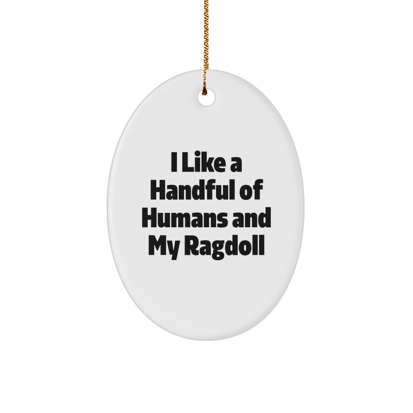Funny Ragdoll Cat Oval Ornament Gifts from Friends for Cat Lovers, Unique Christmas Unique Gifts - Image 1