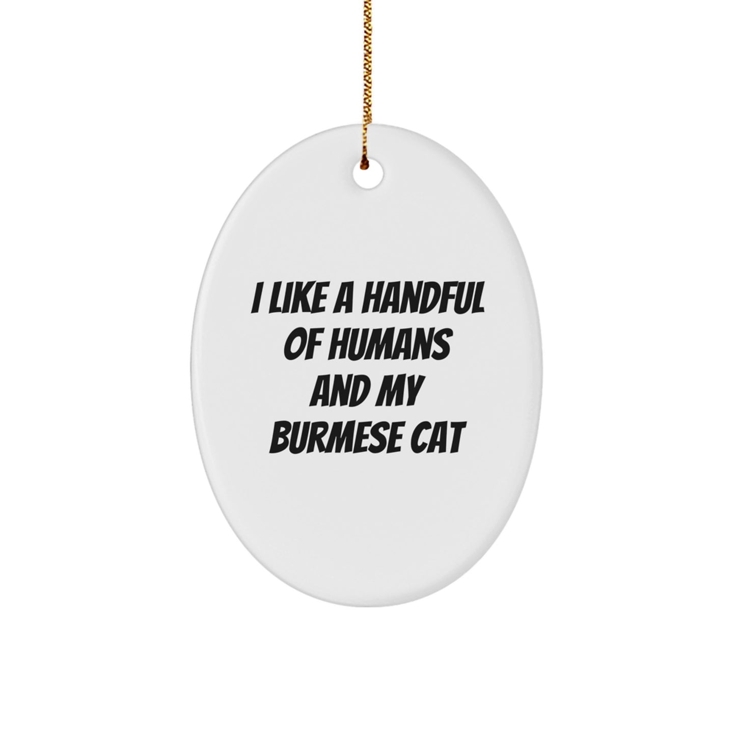 Funny Burmese Cat Oval Ornament Gifts from Men for Women Family Friends - Image 1