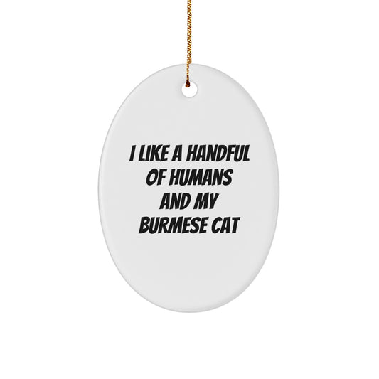 Funny Burmese Cat Oval Ornament Gifts from Men for Women Family Friends - Image 1