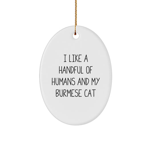 Burmese Cat Oval Ornament Gifts from Men for Women Friends Family at Christmas with Funny Quote - Image 1