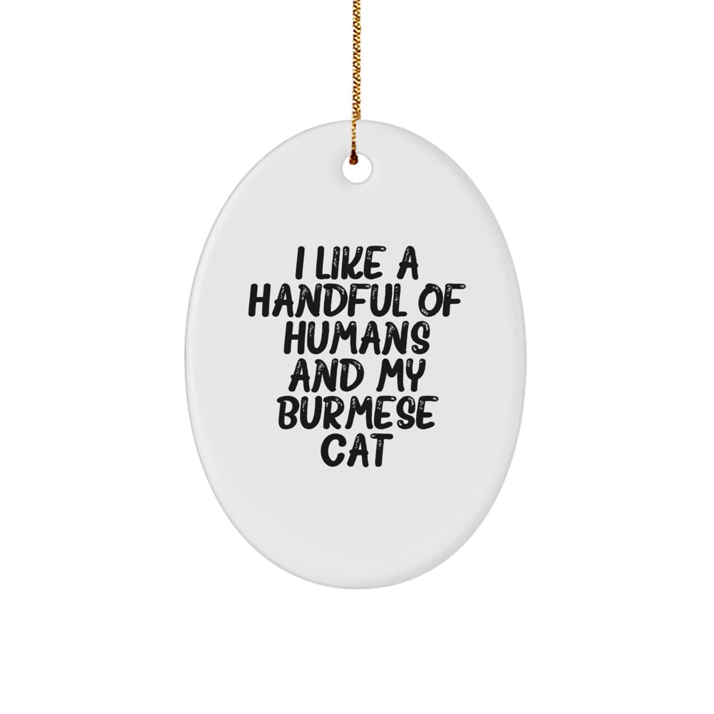Burmese Cat Lover Gifts from Men to Women, Funny Oval Ornament for Christmas Unique Gifts - Image 1