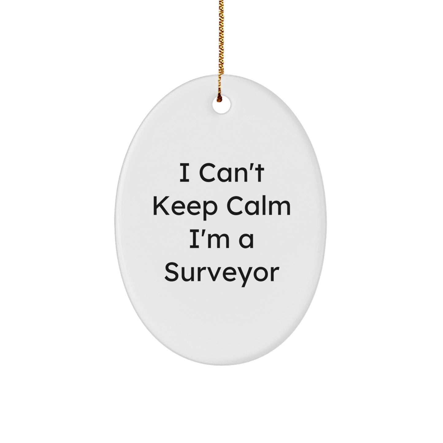 Funny Surveyor Gifts for Men from Friends, I Can't Keep Calm I'm A Surveyor Oval Ornament, Unique Christmas Memorable Present - Image 1