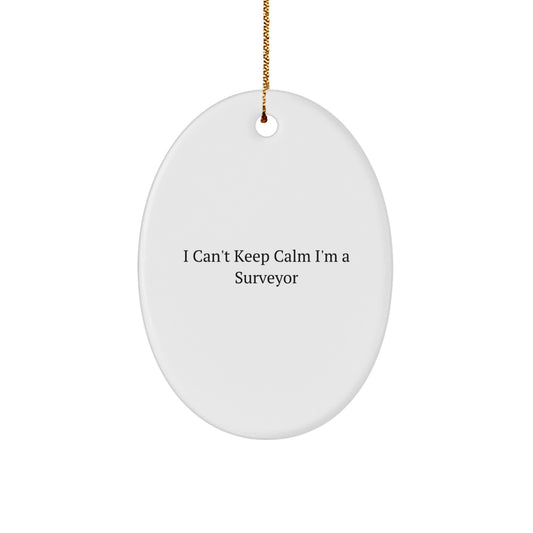 Funny Surveyor Gifts for Men, Christmas Unique Gifts from Friends, Oval Ornament for Surveyor Enthusiasts - Image 1