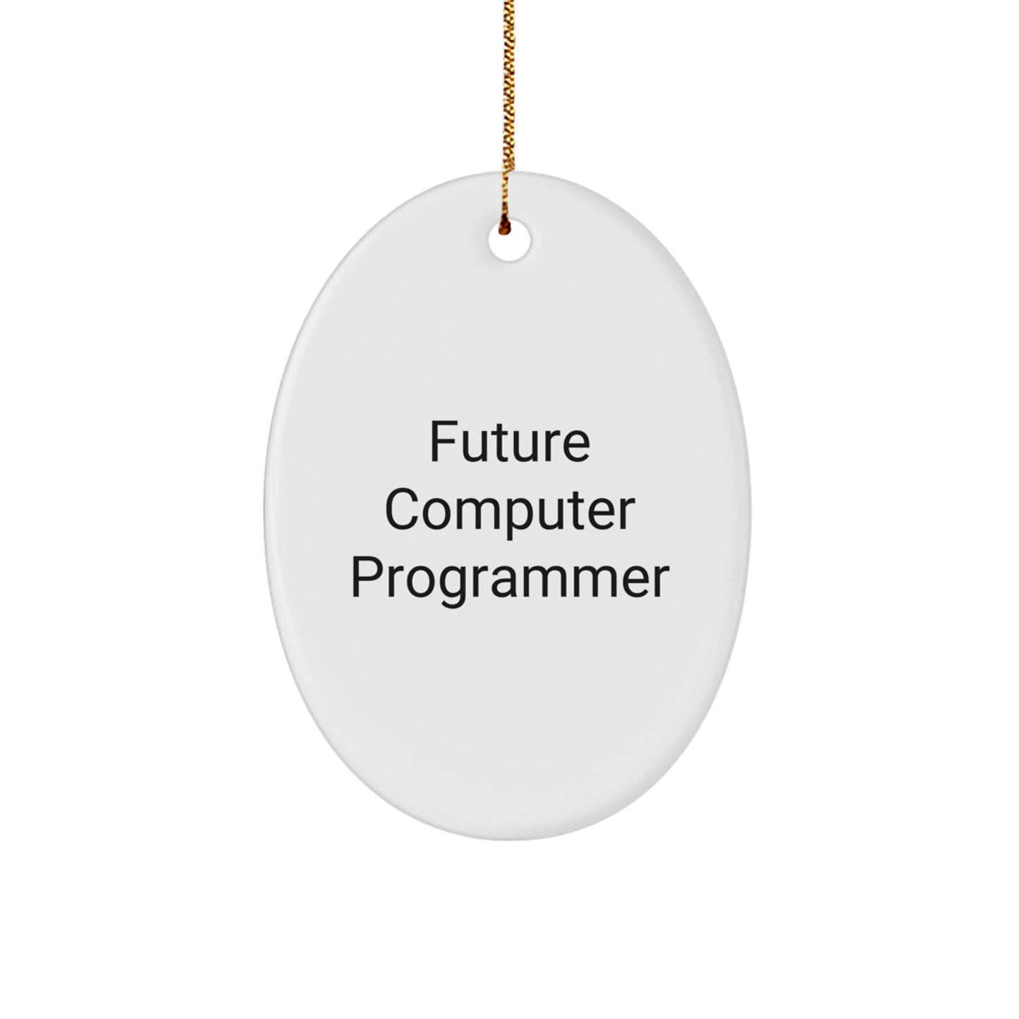 Funny Future Computer Programmer Oval Ornament, Inspirational Gifts for Men, Computer Programmer Christmas Unique Gifts from Friends, Family - Image 1