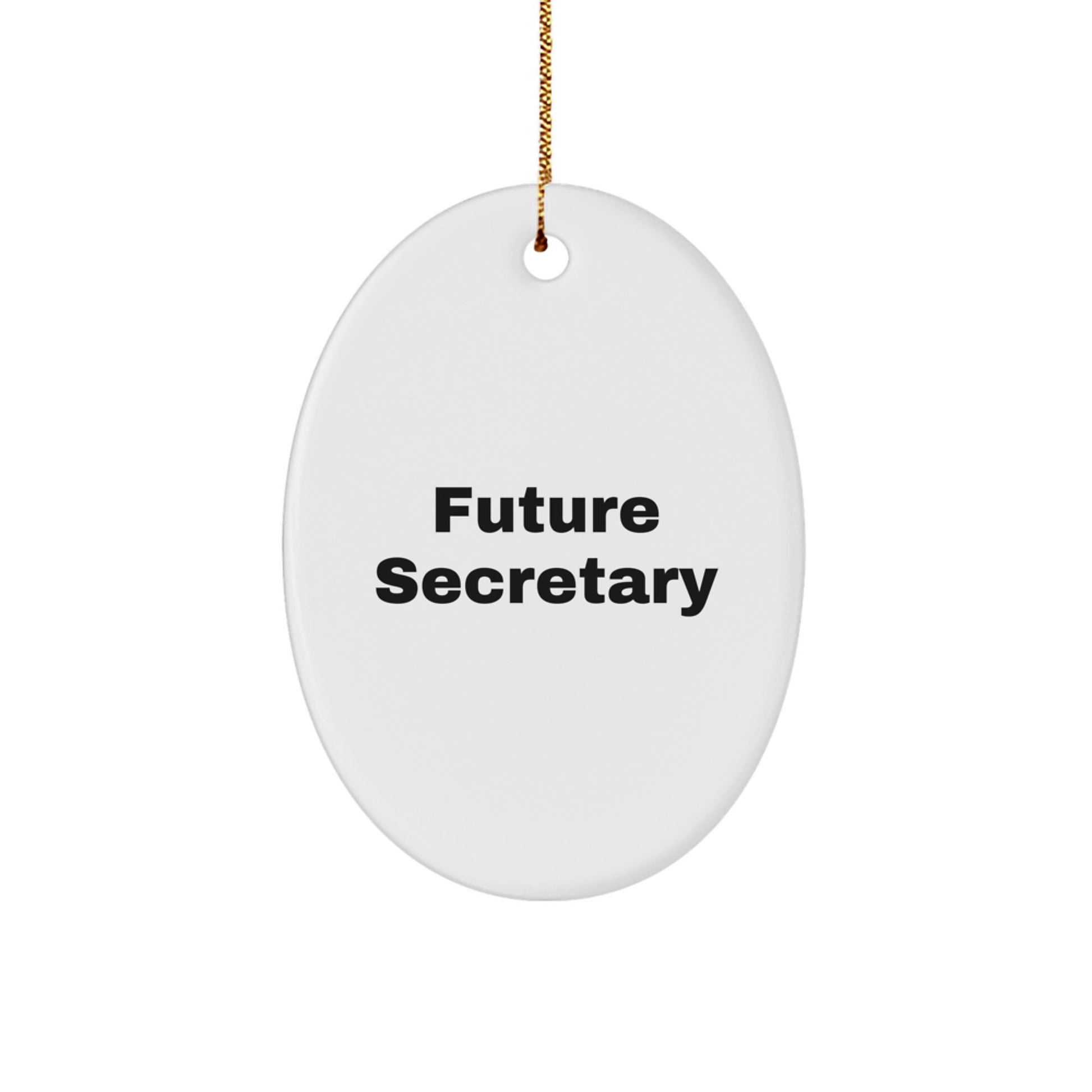 Funny Secretary Quote Oval Ornament, Gifts from Friends for Secretary, Unique Christmas Unique Gifts for Woman, Office Decorations, Secretary Gifts, Oval Ornament, Future Secretary Quote - Image 1