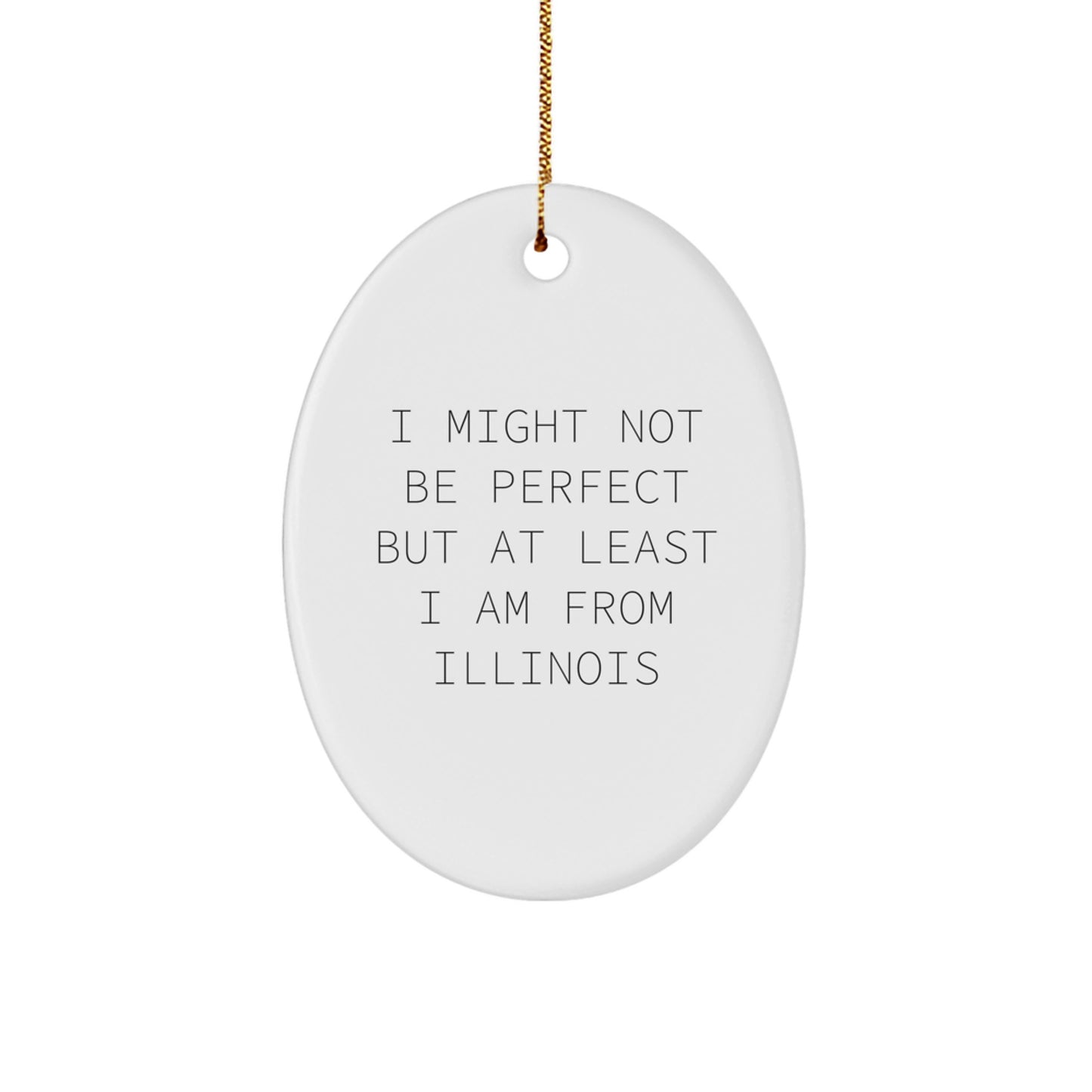 Funny Illinois Oval Ornament Gifts from Friends and Family for Illinois Residents - Image 1