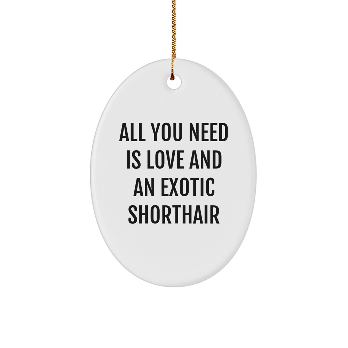 Adorable Exotic Shorthair Cat Gifts from Family for Christmas Unique Oval Ornament - Image 1