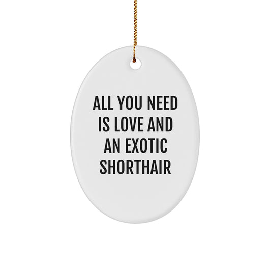 Adorable Exotic Shorthair Cat Gifts from Family for Christmas Unique Oval Ornament - Image 1
