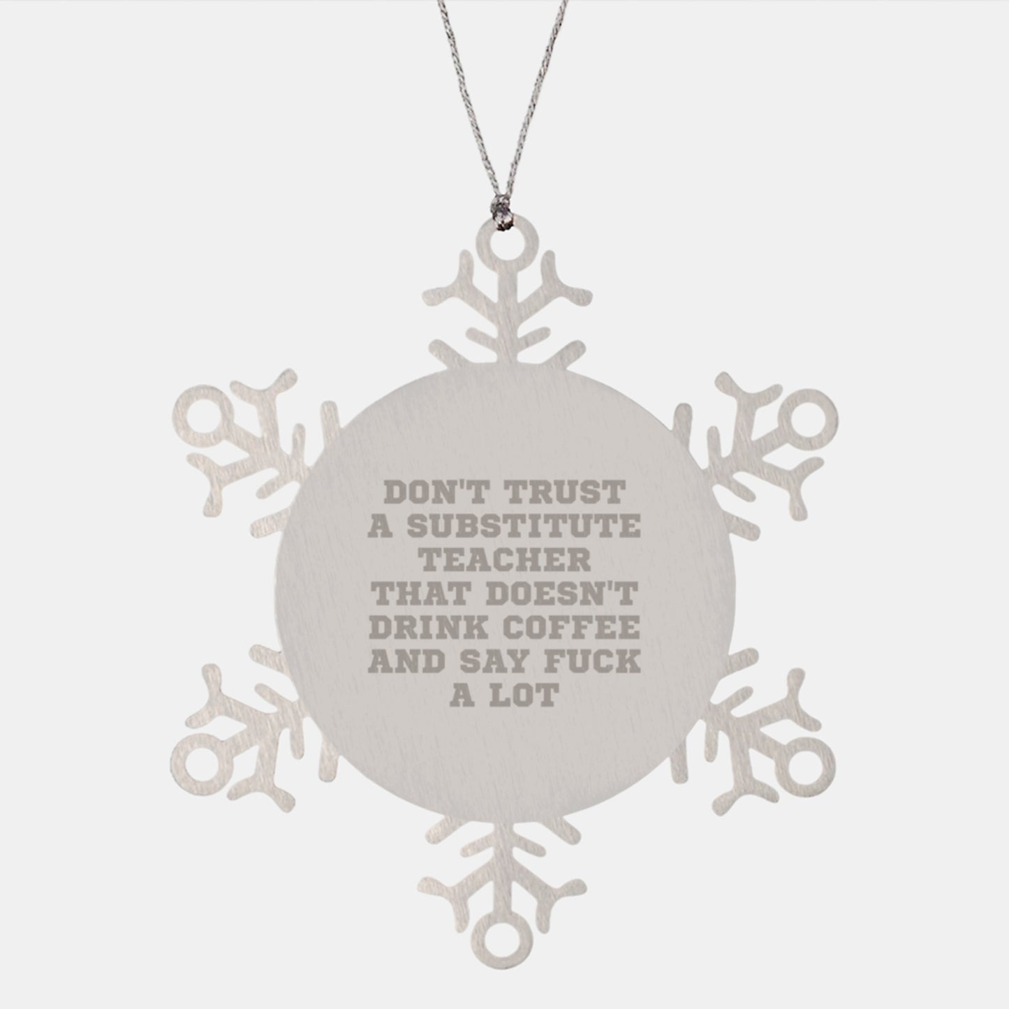 Funny Substitute Teacher Gifts, Snowflake Ornament for Men, Women, Coworkers, Family, 'Don't Trust...' Quote, Christmas Unique Gifts from Friends - Image 1