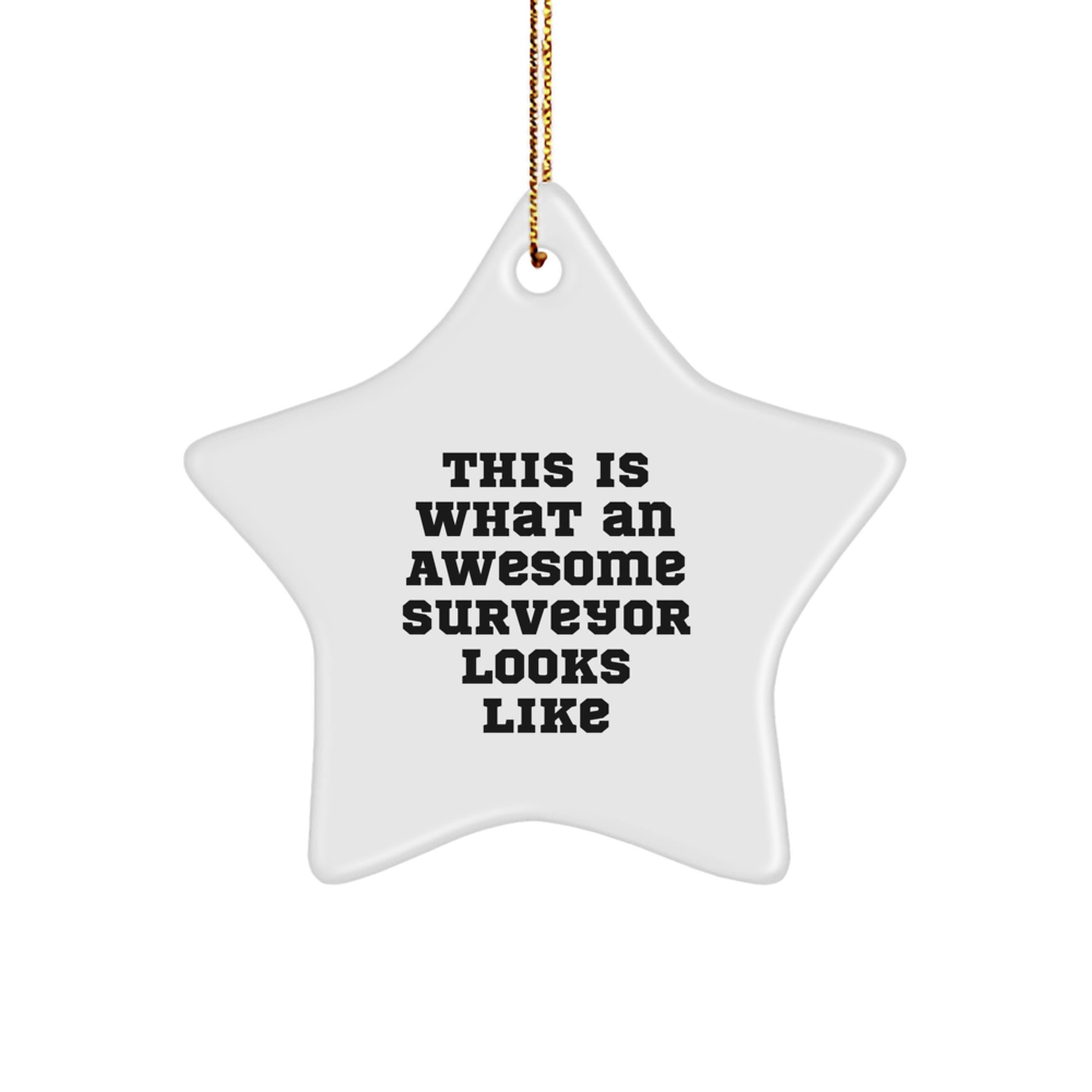 Surveyor Gifts, Funny Star Ornament, 'This Is What An Awesome Surveyor Looks Like', Christmas Unique Gifts from Family to Friends - Image 1