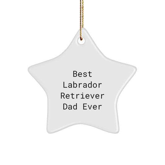 Labrador Retriever Dad Ever, Funny Gifts from Men to Best Labrador Retriever Dad, Star Ornament for Christmas - Image 1