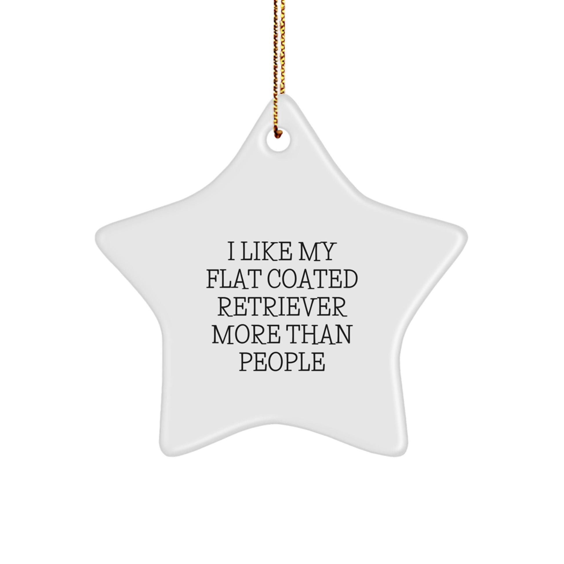 Funny Flat Coated Retriever Dog Gifts from Friends for Christmas - Star Ornament with 'I Like My Flat Coated Retriever More Than People' Quote, Unique Presents for Family, Coworkers - Image 1