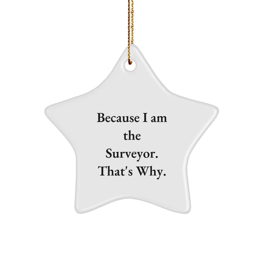 Funny Star Ornament Gifts from Family to Surveyor, Because I Am The Surveyor. That's Why., Star Ornament Christmas Unique Gifts for Surve - Image 1
