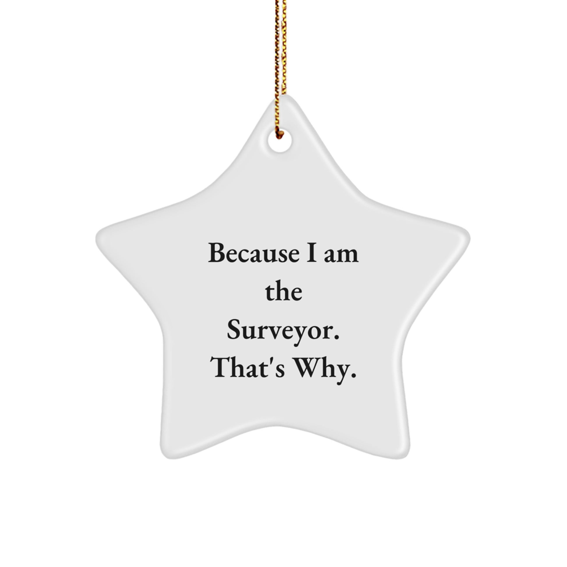 Funny Star Ornament Gifts from Family to Surveyor, Because I Am The Surveyor. That's Why., Star Ornament Christmas Unique Gifts for Surve - Image 1