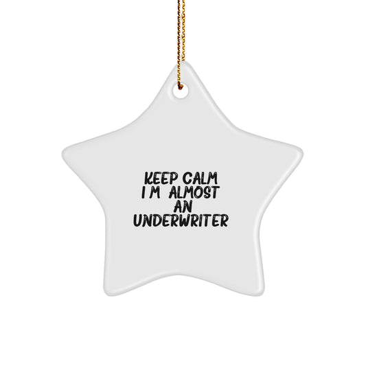 Funny Underwriter Gifts - Christmas Star Ornament for Men or Women Friends Coworkers Family - Inspirational Quote 'Keep Calm, I'm (almost) An Underwriter.' - Image 1