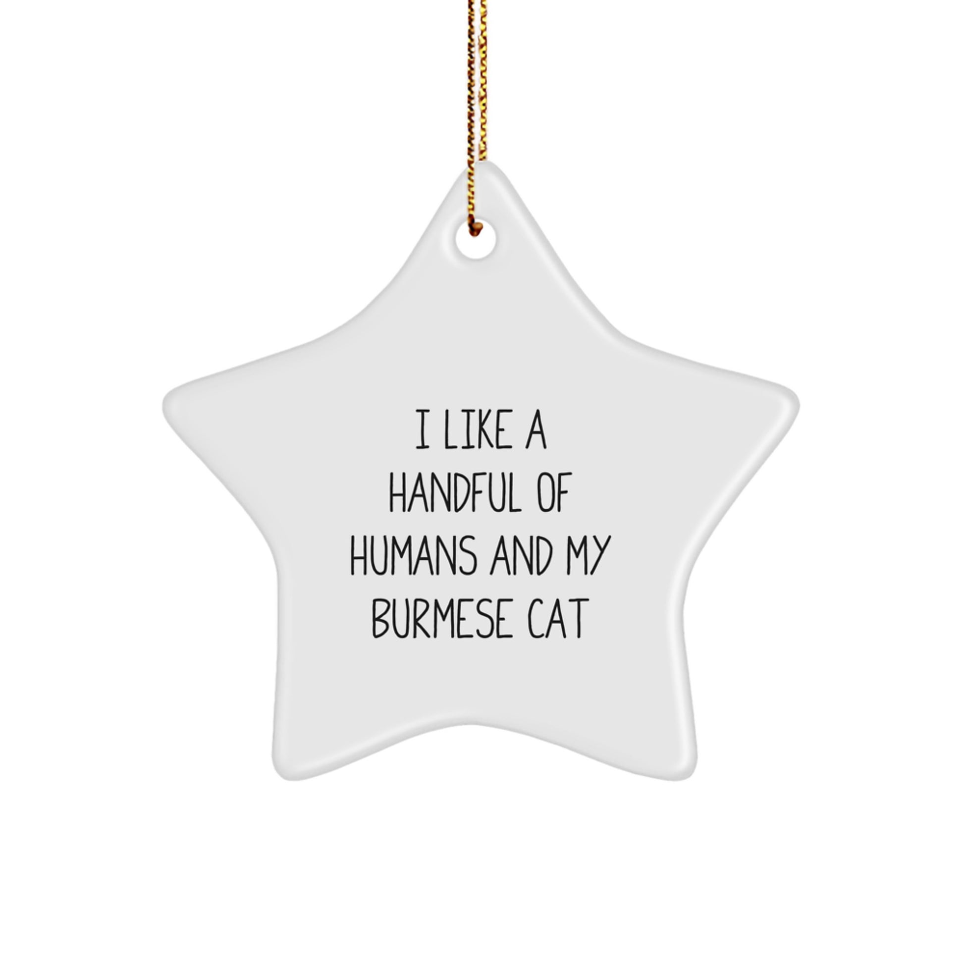 Funny Burmese Cat Star Ornament Gifts from Family, for Christmas Unique Presents - Image 1
