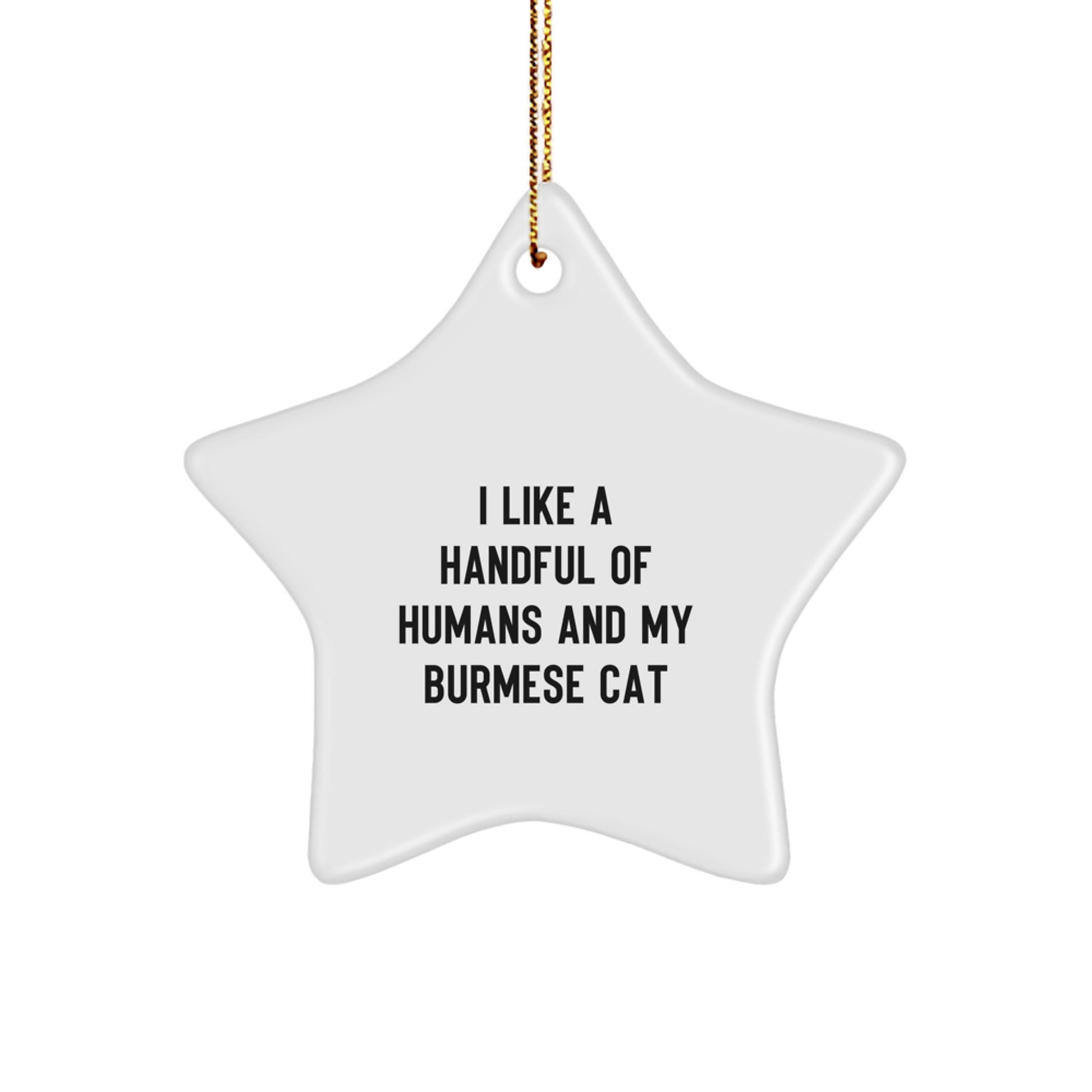Funny Burmese Cat Lover Gifts from Family, Funny Burmese Cat Star Ornament for Christmas Unique Gifts, Cute Burmese Cat Lover Decorations - Image 1