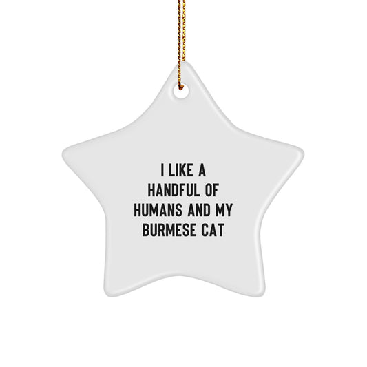 Funny Burmese Cat Lover Gifts from Family, Funny Burmese Cat Star Ornament for Christmas Unique Gifts, Cute Burmese Cat Lover Decorations - Image 1