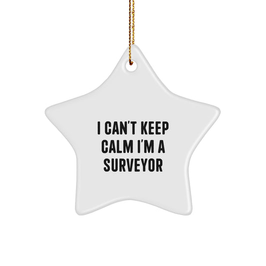 Funny Surveyor Gifts from Friends and Family, I Can't Keep Calm I'm A Surveyor Star Ornament for Surveyor Men and Women, Christmas Unique Gifts - Image 1