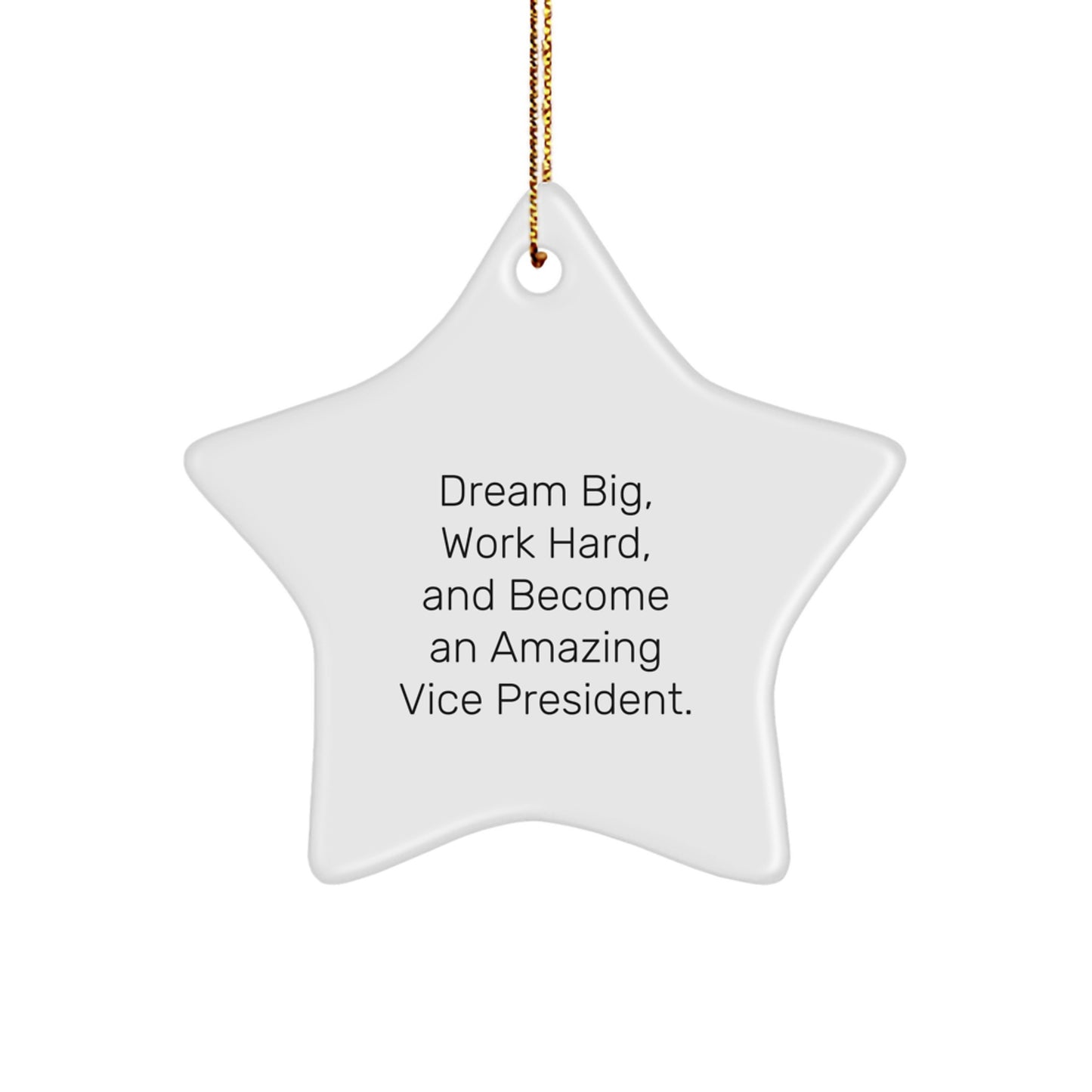 Funny Vice President Inspirational Gifts from Friends to Vice President Star Ornament for Christmas Unique Decorations - Image 1