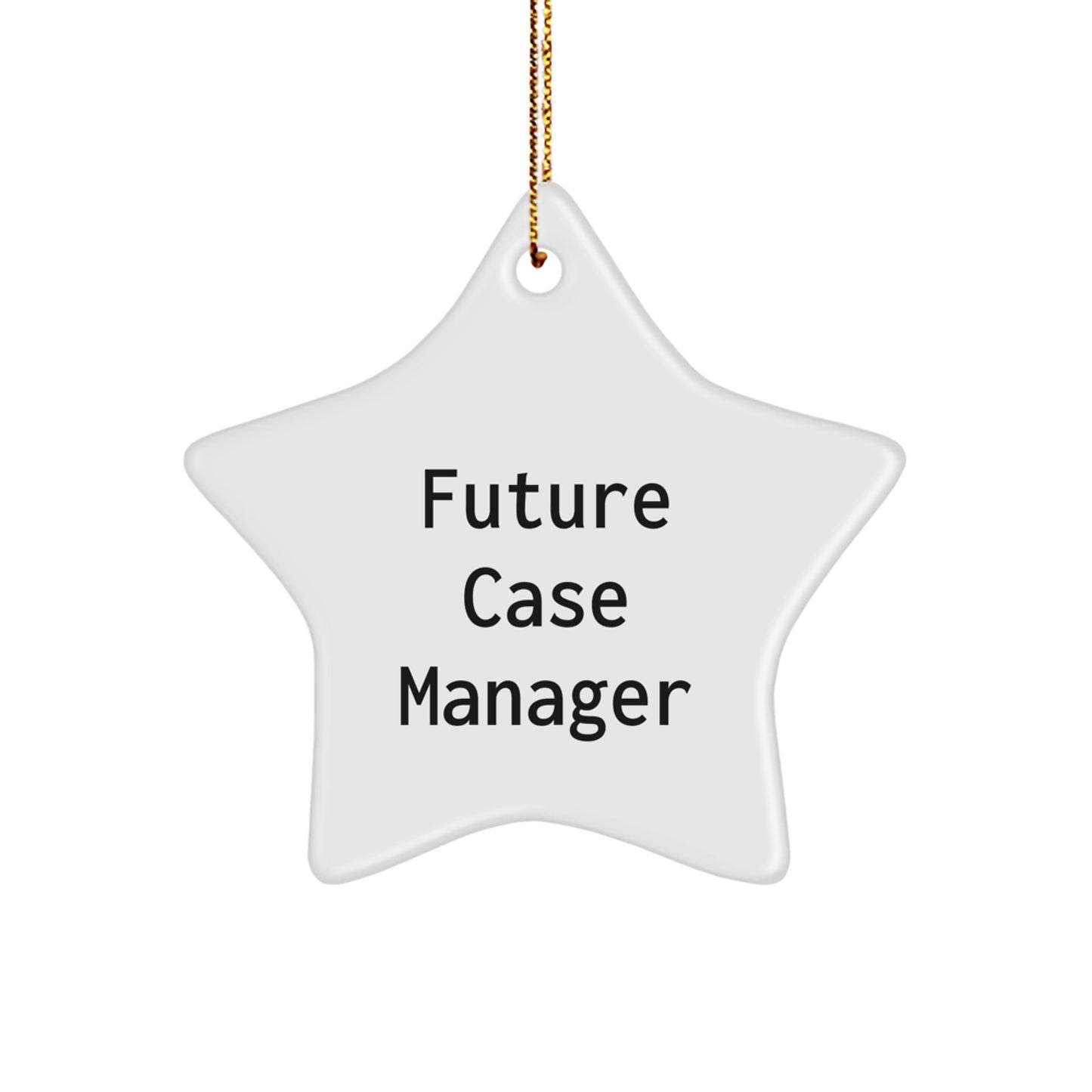 Funny Future Case Manager Christmas Star Ornament Gifts from Friends to Case Manager - Image 1