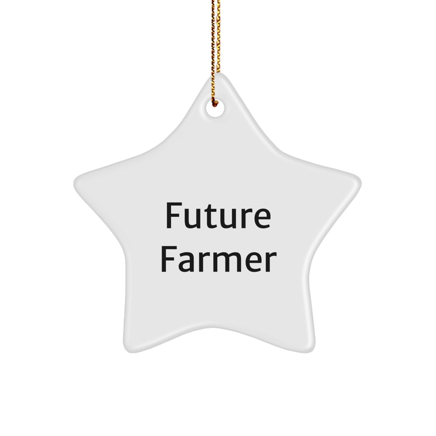 Future Farmer Gifts from Men - Funny Farmer Star Ornament for Christmas Unique Gifts for Farmer Friends - Image 1