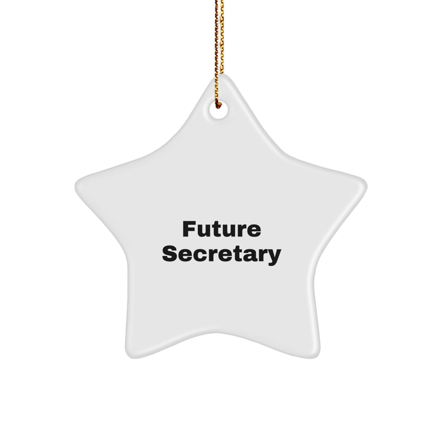Funny Secretary Gifts from Men Friends to Future Secretary Star Ornament Holiday Decoration - Image 1