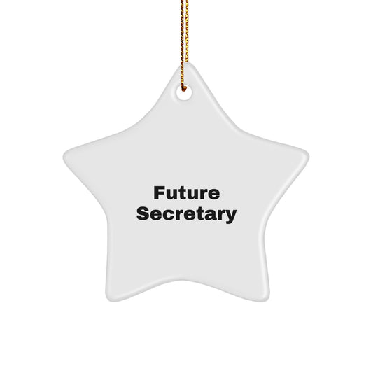 Funny Secretary Gifts from Men Friends to Future Secretary Star Ornament Holiday Decoration - Image 1
