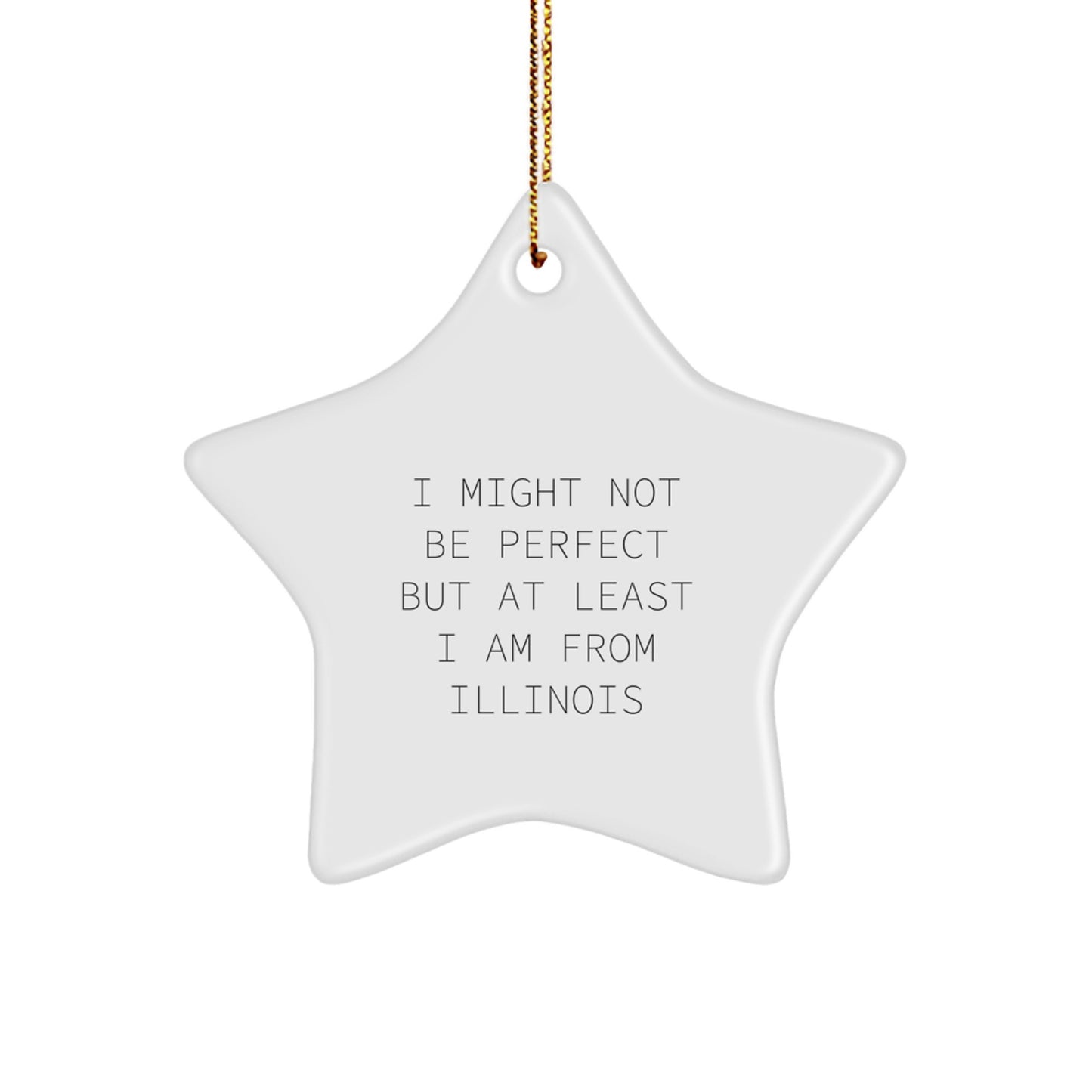Funny Illinois Star Ornament Gifts from Friends and Family for Illinois Men Women, Cute Christmas Unique Gifts, Illinois Star Ornament Quote - Image 1