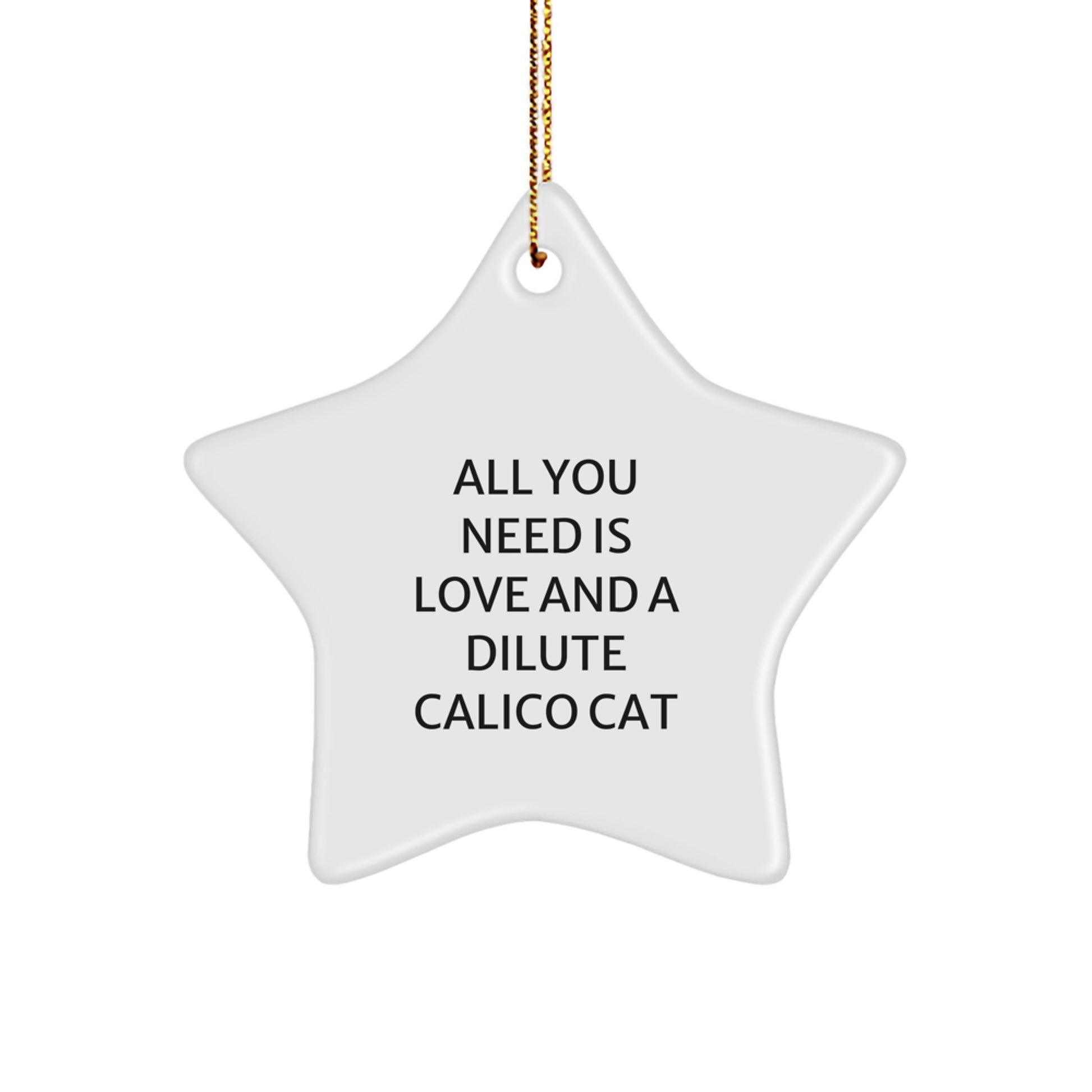 Funny Dilute Calico Cat Star Ornament Gifts from Family for Dilute Calico Cat Lover Christmas Unique Gifts - Image 1