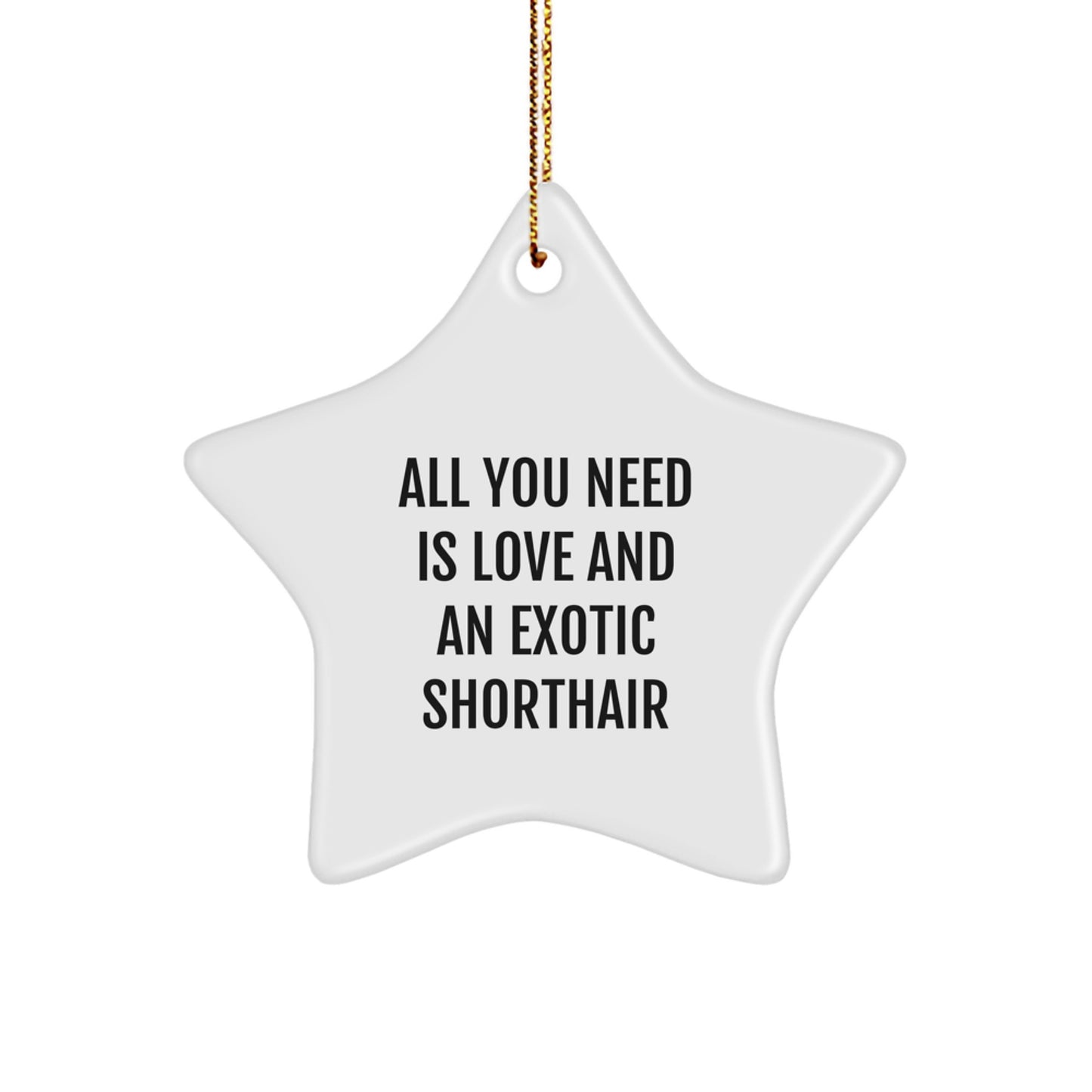 Exotic Shorthair Cat Gifts for Men, Star Ornament with Funny Quote, 'All You Need Is Love And An Exotic Shorthair', Christmas Unique Gifts from Friends - Image 1