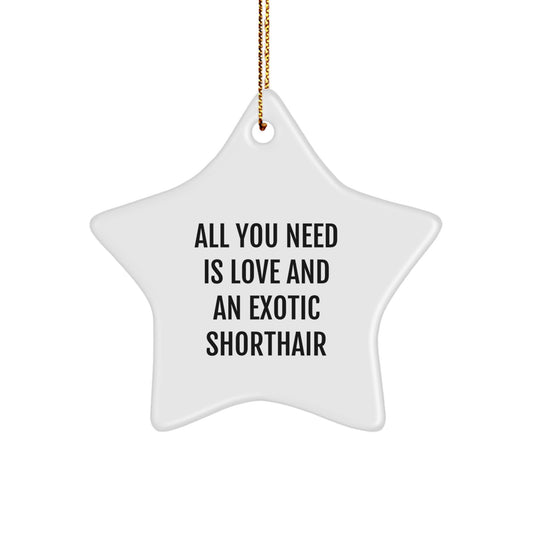 Exotic Shorthair Cat Gifts for Men, Star Ornament with Funny Quote, 'All You Need Is Love And An Exotic Shorthair', Christmas Unique Gifts from Friends - Image 1