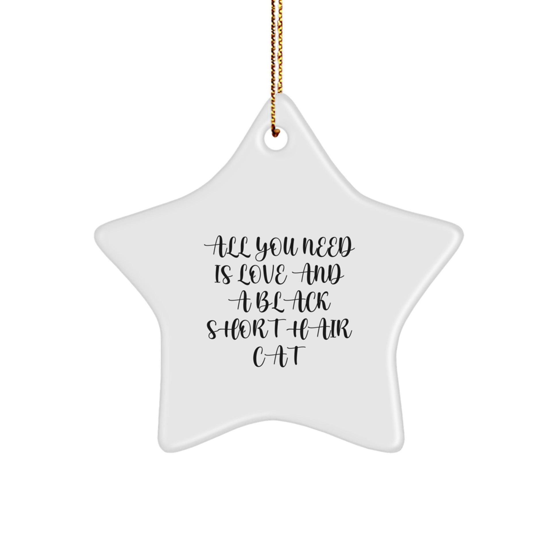 Funny Black Short Hair Cat Christmas Unique Gifts from Friends Star Ornament with 'All You Need Is Love' - Image 1